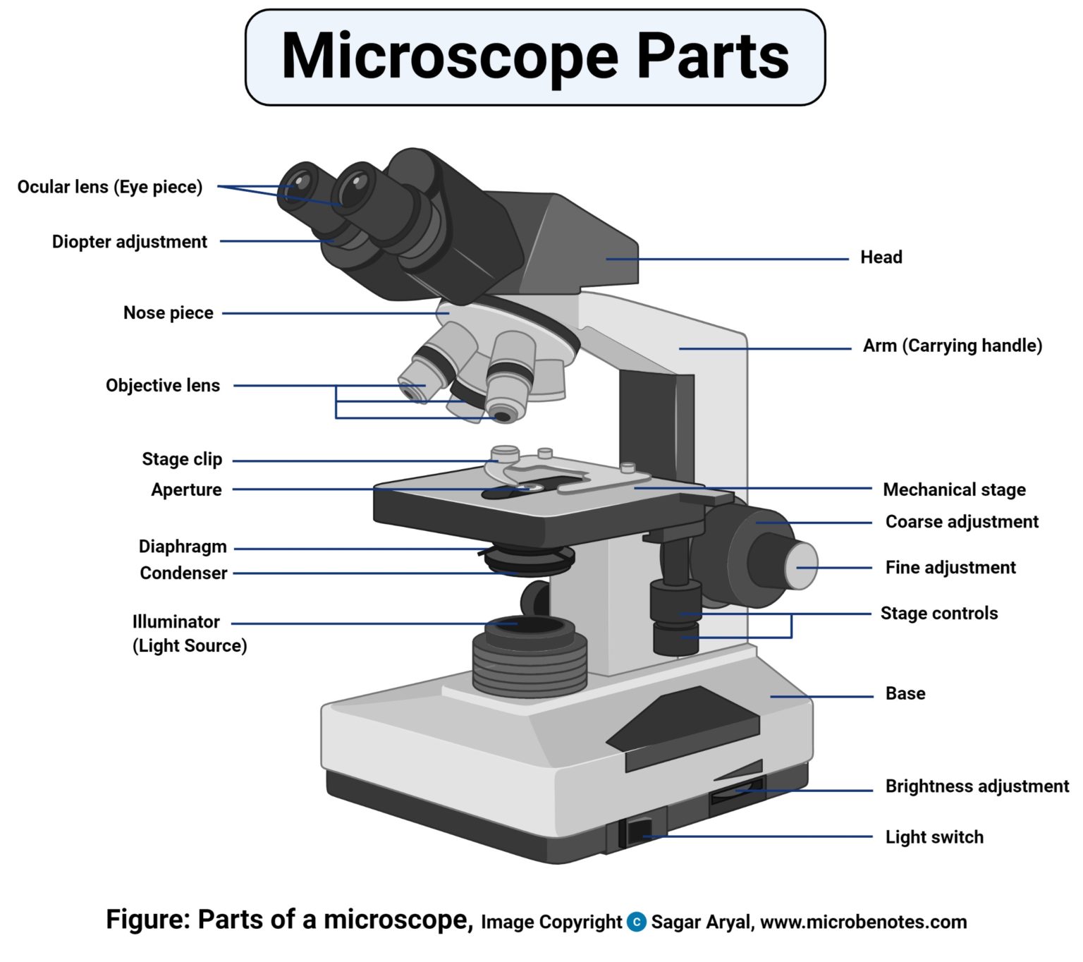 Microscope Lab Letter E